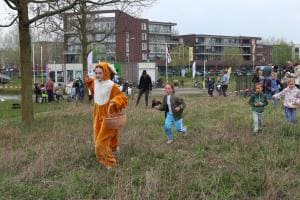 IMG 3554