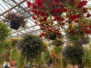 Afbeelding-van-WhatsApp-op-2025-10-01-om-19.39.41 b2b3ea44